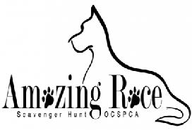 Amazing Race Logo Revised