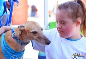 PAWS Therapy Dogs MDHS Special Games (4)