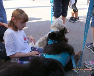 PAWS Therapy Dogs MDHS Special Games (5)