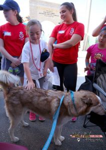 PAWS Therapy Dogs MDHS Special Games (6)